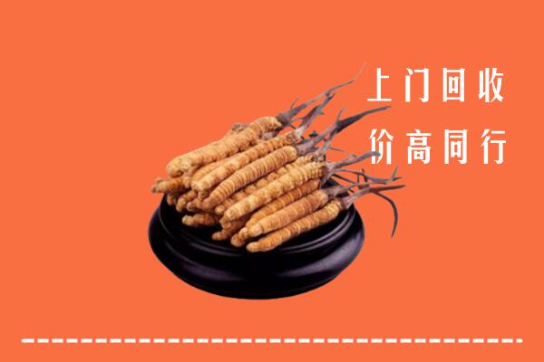 高价求购：北关区回收散虫草