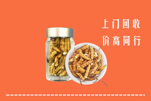 北关区回收冬虫夏草